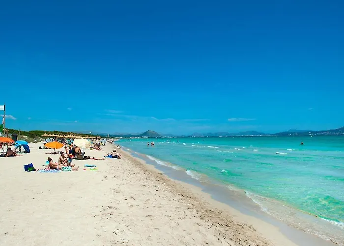 Owl Rafale - 5 Min Drive To The